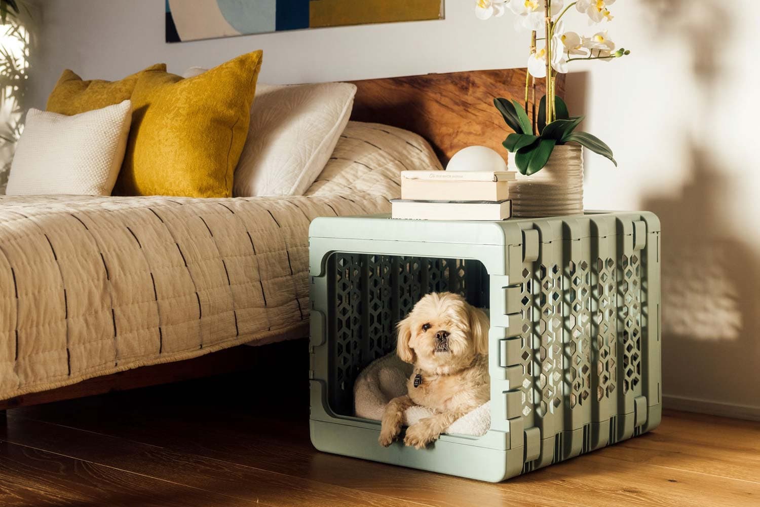 dog resting in crate
